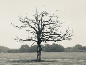Read more about the article Dealing with Life’s Season of Winter
